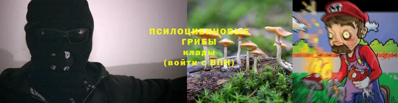 купить  сайты  kraken зеркало  Галлюциногенные грибы MAGIC MUSHROOMS  Владикавказ 